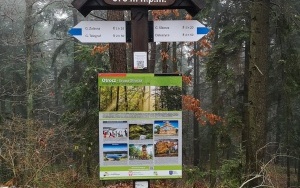 Natura w powiecie kieleckim (9)