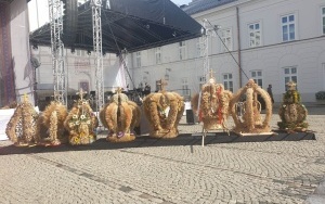konferencja prasowa z panią Józefą Bucką (9)