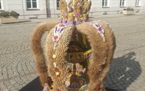 konferencja prasowa z panią Józefą Bucką (12)