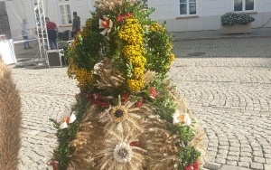 konferencja prasowa z panią Józefą Bucką (1)
