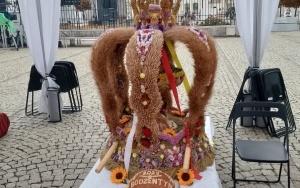 konferencja prasowa z panią Józefą Bucką (11)