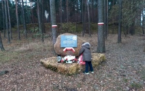 Wspólnie świętujmy Narodowe Święto Niepodległości!  (4)