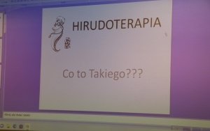 Święto Seniora w kieleckim starostwie (9)