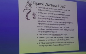 Święto Seniora w kieleckim starostwie (1)