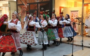 Europejskie Targi Rolne w Plauen (1)