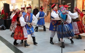Europejskie Targi Rolne w Plauen (2)