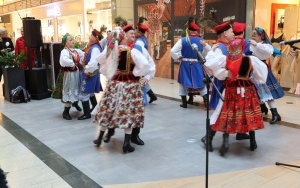 Europejskie Targi Rolne w Plauen (3)