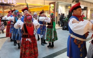 Europejskie Targi Rolne w Plauen (6)