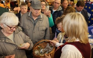 Europejskie Targi Rolne w Plauen (4)