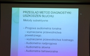 O wsparciu osób niepełnosprawnych (11)