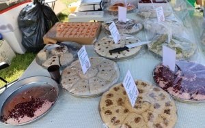 Prywatni wystawcy (7)