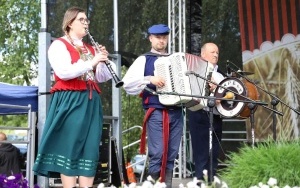 Dzień świętokrzyskiej truskawki (4)