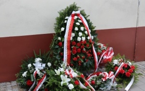 Planty 7/9 (7)