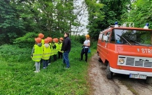 Muzeum Motoryzacji (5)