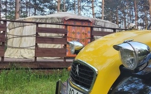 Muzeum Motoryzacji (7)