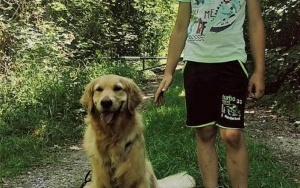 Zajęcia dogoterapii (6)