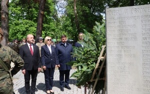 Obchody Narodowego Dnia Wolności (1)