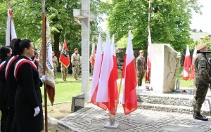 Obchody Narodowego Dnia Wolności (14)