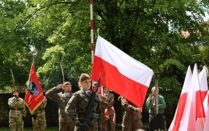 Obchody Narodowego Dnia Wolności (15)