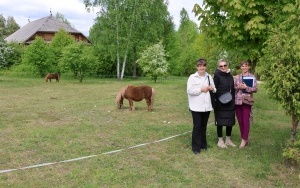 Park Etnograficzny w Tokarni (3)