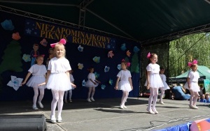 Niezapominajkowy Piknik Rodzinny w Chmielniku  (7)