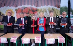 Dzień Świętokrzyskiej Truskawki (6)