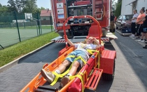 Piknik Profilaktyczny