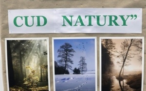Rozstrzygnięcie konkursu fotograficznego (1)