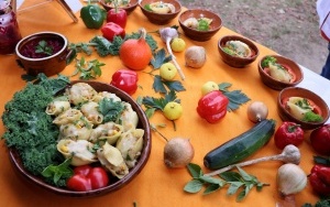 V Festiwal Smaków Babiego Lata- stoiska konkursowe (5)