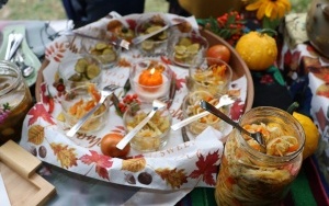 V Festiwal Smaków Babiego Lata- stoiska konkursowe (5)