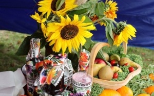 V Festiwal Smaków Babiego Lata- stoiska konkursowe (5)
