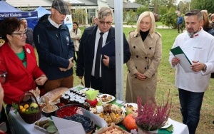 V Festiwal Smaków Babiego Lata- stoiska konkursowe (8)