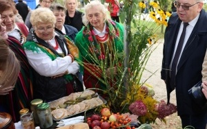 V Festiwal Smaków Babiego Lata- stoiska konkursowe (11)