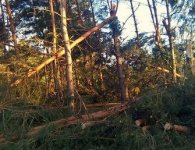 Oględziny skutków nawałnicy