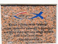 200-lecie kaplicy w Kostomłotach Pierwszych