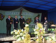 Chleb musi wyrosnąć na polu