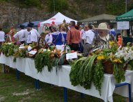 Dożynki w gminach powiatu kieleckiego 2016 