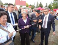 „W dzień św. Tekli ziemniaki będziem piekli”