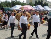 Dożynki Gminne w Łopusznie