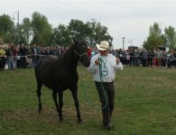 Za nami V Jarmark Koński i VI Festiwal Pierogowy