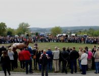 Za nami V Jarmark Koński i VI Festiwal Pierogowy
