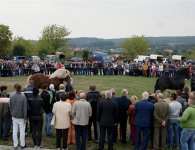Za nami V Jarmark Koński i VI Festiwal Pierogowy