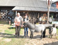 Joanna i Jacek Miszczykowie z Maleszowej z gminy Pierzchnica.
