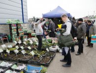 TargI AGROTECH