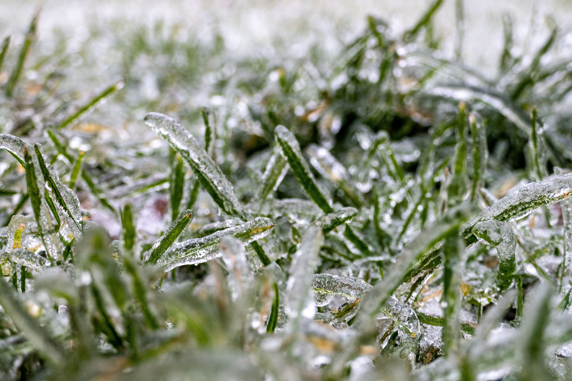 Ostrzeżenie meteorologiczne - przymrozki